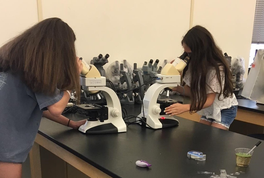 Girls at microscope